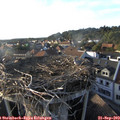 18_05-nest.jpg