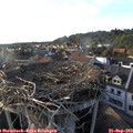 18_10-nest.jpg