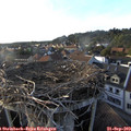 18_15-nest.jpg