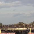 18_25-mast.jpg