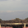 18_30-mast.jpg