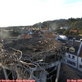 18_30-nest.jpg