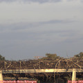 18_35-mast.jpg