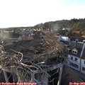 18_35-nest.jpg