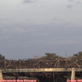 18_40-mast.jpg