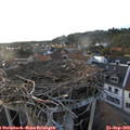 18_45-nest.jpg
