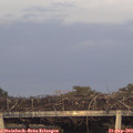 18_50-mast.jpg