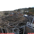 18_50-nest.jpg