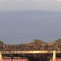 18_55-mast.jpg