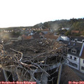 18_55-nest.jpg