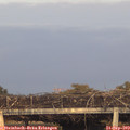 19_00-mast.jpg