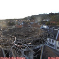 19_00-nest.jpg