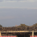 19_05-mast.jpg