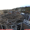 19_05-nest.jpg