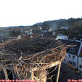 07_20-nest.jpg