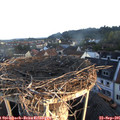 07_25-nest.jpg