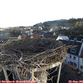 07_35-nest.jpg