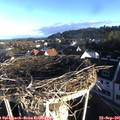 07_55-nest.jpg