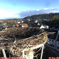 08_00-nest.jpg