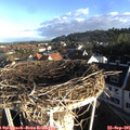 08_05-nest.jpg