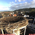 08_10-nest.jpg