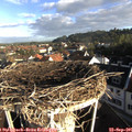 08_15-nest.jpg