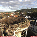 08_25-nest.jpg