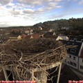 08_35-nest.jpg