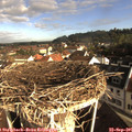 08_40-nest.jpg
