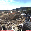 08_45-nest.jpg