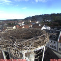 08_55-nest.jpg