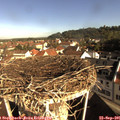 09_10-nest.jpg