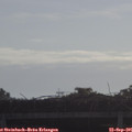 09_15-mast.jpg