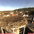 09_20-nest.jpg
