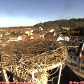 09_25-nest.jpg