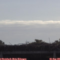 09_30-mast.jpg