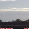 09_35-mast.jpg