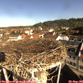 09_35-nest.jpg