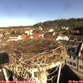 09_45-nest.jpg