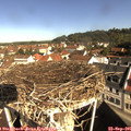 09_50-nest.jpg