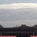 09_55-mast.jpg
