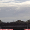 10_00-mast.jpg