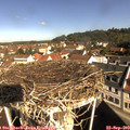 10_00-nest.jpg