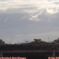 10_05-mast.jpg