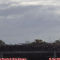 10_10-mast.jpg