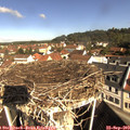 10_10-nest.jpg