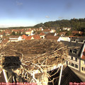 10_15-nest.jpg