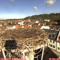 10_25-nest.jpg