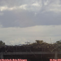 10_35-mast.jpg