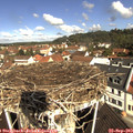 10_45-nest.jpg